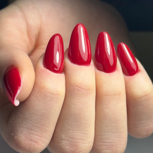 BASIC COURSE – začetni 3 dnevni tečaj