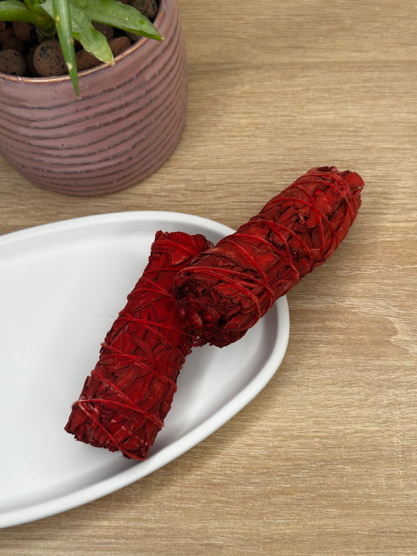Beli žajbelj Dragon's Blood